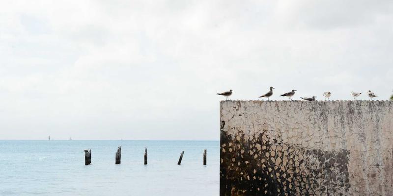 东莞社区音乐文化活动：从音乐培训到乐器消费，如何奏响城市人文与经济的双重乐章？