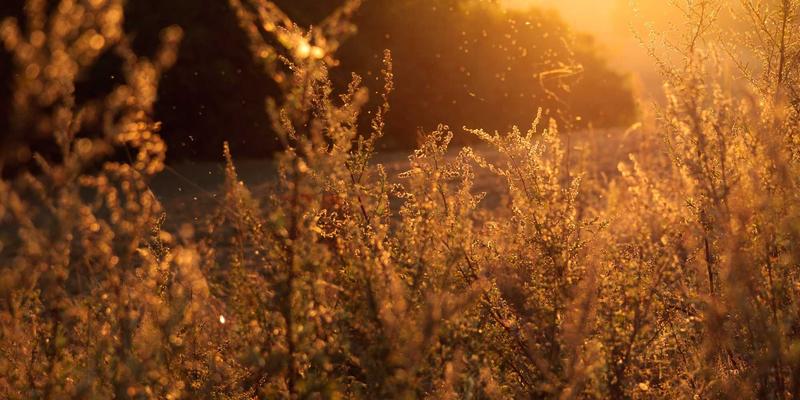 东莞音乐产业园区规划：如何以产业集群效应引爆音乐培训与乐器销售新蓝海？