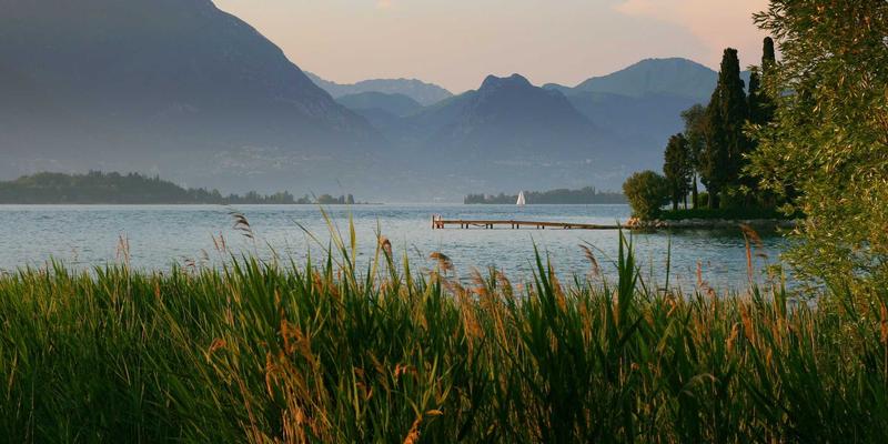 从钢琴培训到数字音轨：解码东莞电子音乐产业的科技融合新浪潮