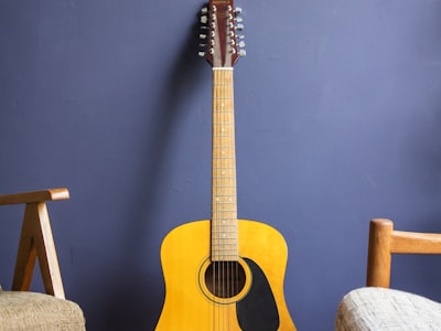 Acoustic Guitar
